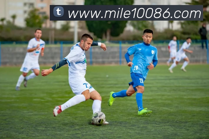 米乐体育服务体系