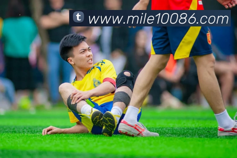 多媒体互动体验